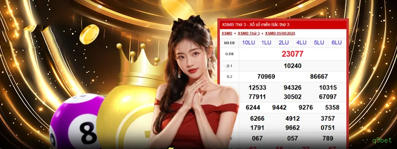 q9bet multi dispositivo